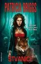 stvanice-briggs